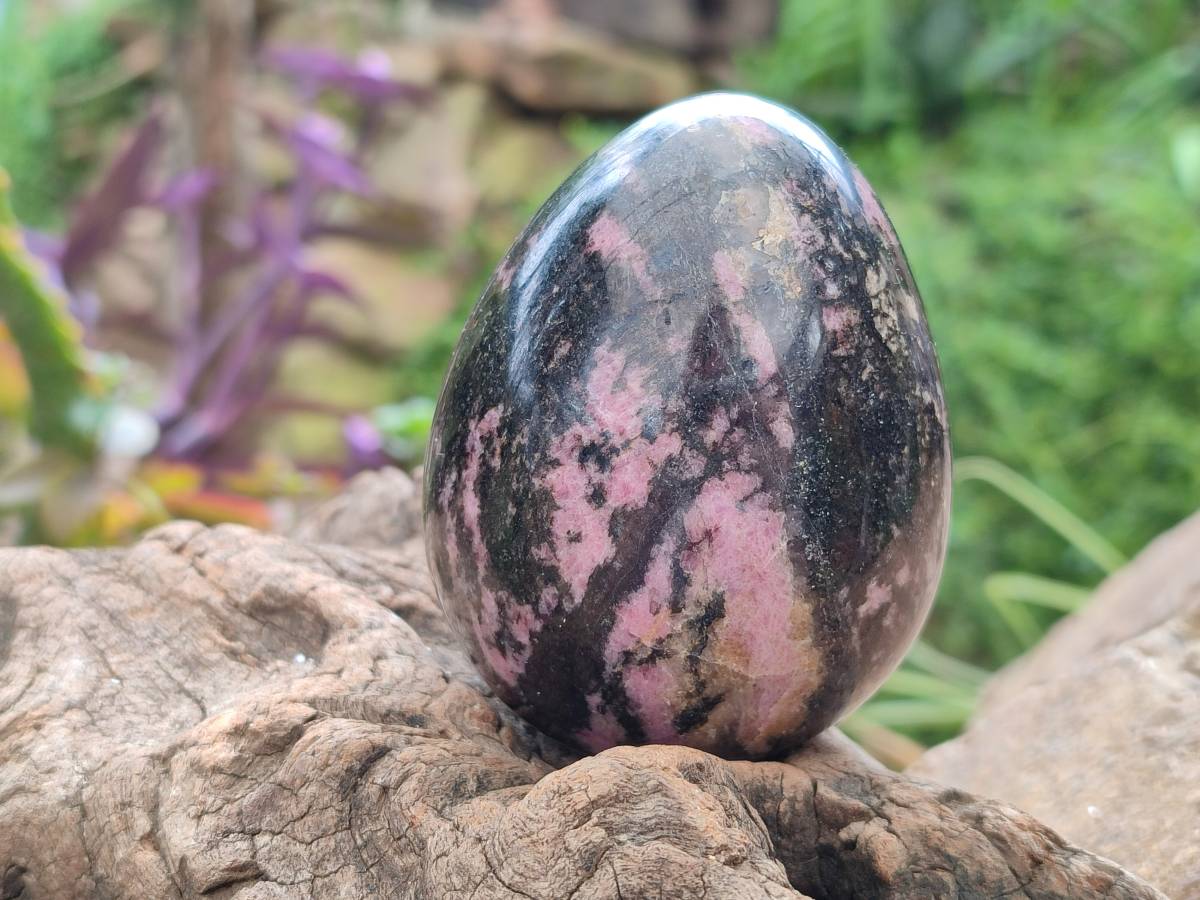 Polished Rhodonite Eggs x 6 From Ambindavato, Madagascar