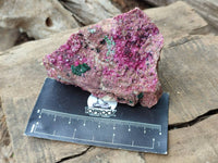 Natural Salrose Cobaltion Dolomite With Malachite Specimens x 6 From Kakanda, Congo