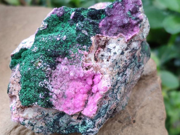 Natural Salrose Cobaltion Dolomite With Malachite Specimens x 6 From Kakanda, Congo