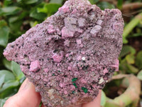 Natural Salrose Cobaltion Dolomite With Malachite Specimens x 6 From Kakanda, Congo