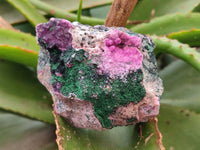 Natural Salrose Cobaltion Dolomite With Malachite Specimens x 6 From Kakanda, Congo