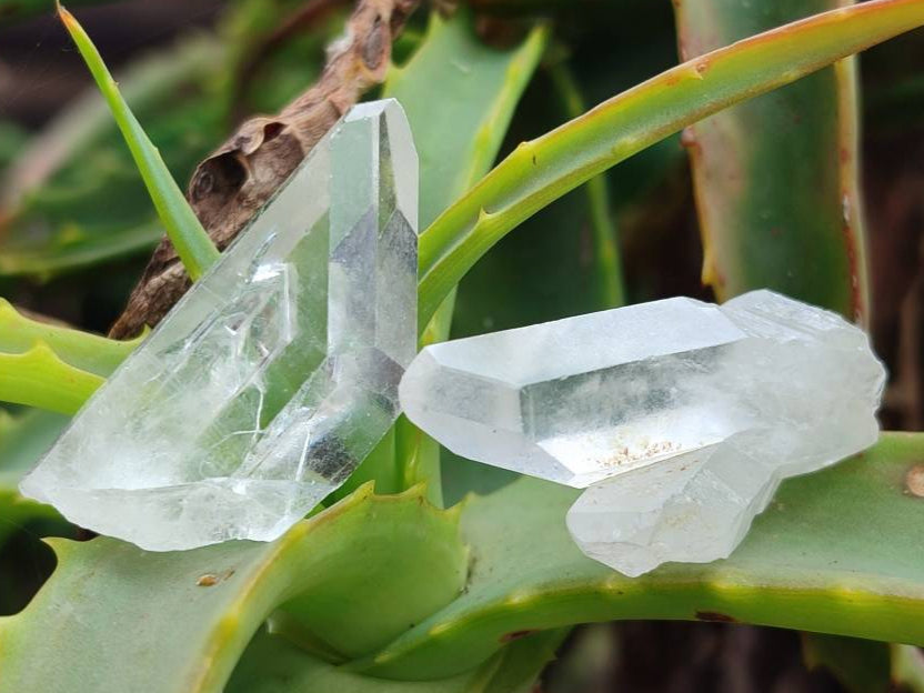 Natural Mine Run Quartz Crystals x 1.42 Kg Lot From Ambatofinandrahana, Madagascar