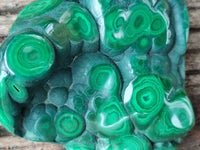 Polished Flower Banded Malachite Free Forms x 3 From Congo