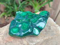 Polished Flower Banded Malachite Free Forms x 3 From Congo