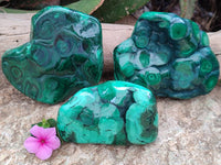Polished Flower Banded Malachite Free Forms x 3 From Congo