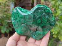 Polished Flower Banded Malachite Free Forms x 3 From Congo