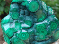 Polished Flower Banded Malachite Free Forms x 3 From Congo