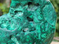 Polished Flower Banded Malachite Free Forms x 3 From Congo