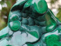 Polished Flower Banded Malachite Free Forms x 3 From Congo