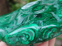Polished Flower Banded Malachite Free Forms x 3 From Congo