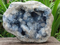 Natural XL Blue Celestite Geode Specimen x 1 From Sakoany, Madagascar