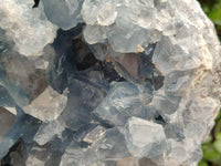 Natural XL Blue Celestite Geode Specimen x 1 From Sakoany, Madagascar