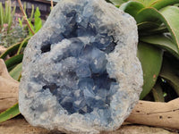 Natural XL Blue Celestite Geode Specimen x 1 From Sakoany, Madagascar