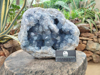 Natural XL Blue Celestite Geode Specimen x 1 From Sakoany, Madagascar