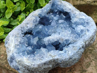 Natural XL Blue Celestite Geode Specimen x 1 From Sakoany, Madagascar