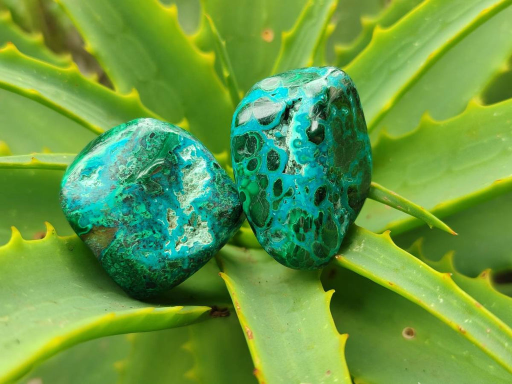 Polished Malacolla Free Forms x 35 From Kulukuluku, Congo - Toprock Gemstones and Minerals 