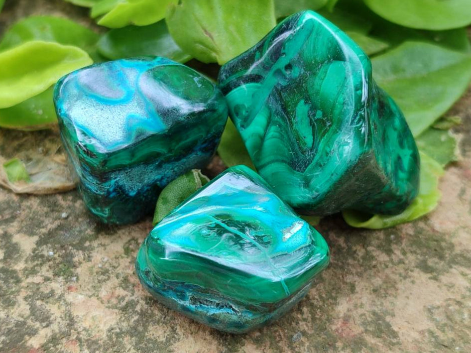 Polished Malacolla Free Forms x 35 From Kulukuluku, Congo - Toprock Gemstones and Minerals 