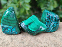 Polished Malacolla Free Forms x 35 From Kulukuluku, Congo