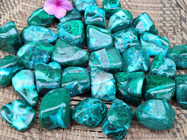 Polished Malacolla Free Forms x 35 From Kulukuluku, Congo - Toprock Gemstones and Minerals 