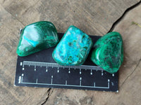 Polished Malacolla Free Forms x 35 From Kulukuluku, Congo