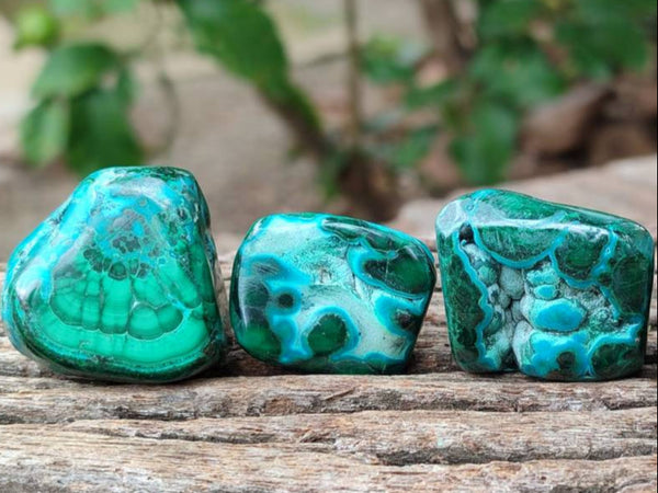 Polished Malacolla Free Forms x 35 From Kulukuluku, Congo