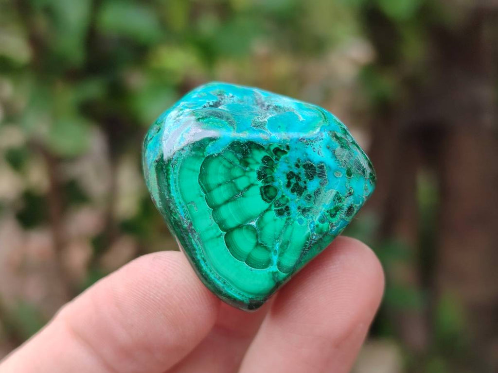 Polished Malacolla Free Forms x 35 From Kulukuluku, Congo - Toprock Gemstones and Minerals 