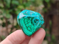 Polished Malacolla Free Forms x 35 From Kulukuluku, Congo