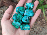 Polished Malacolla Free Forms x 35 From Kulukuluku, Congo