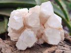 Natural Mixed Quartz Crystal Clusters x 6 From Madagascar