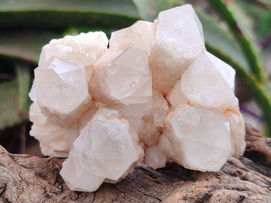 Natural Mixed Quartz Crystal Clusters x 6 From Madagascar