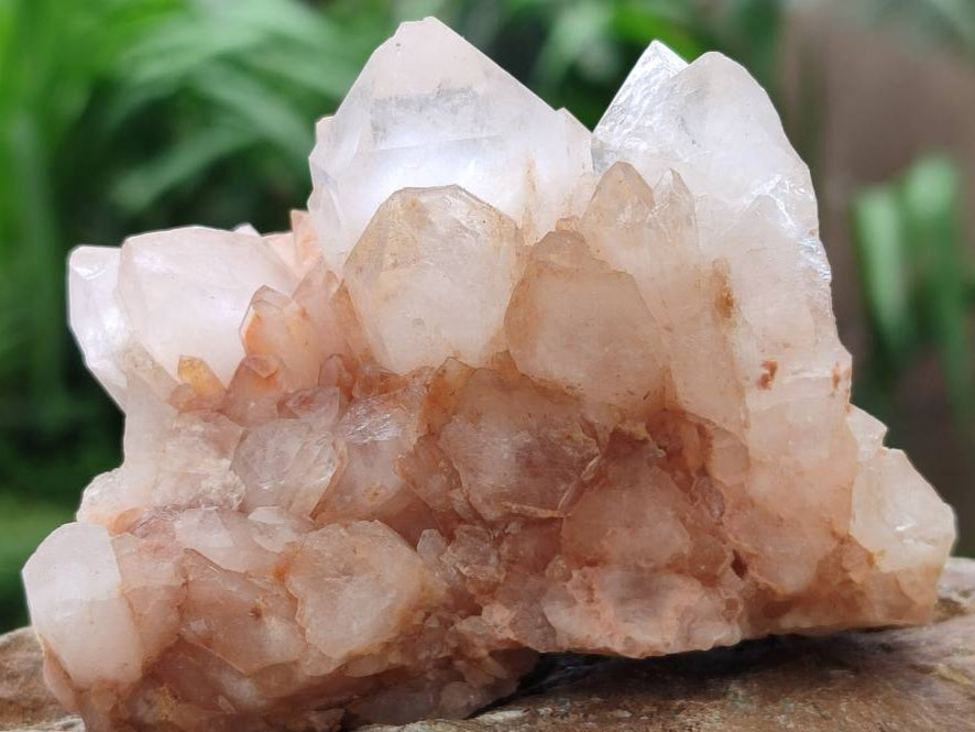 Natural Mixed Quartz Crystal Clusters x 6 From Madagascar