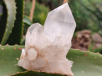 Natural Mixed Quartz Crystal Clusters x 6 From Madagascar