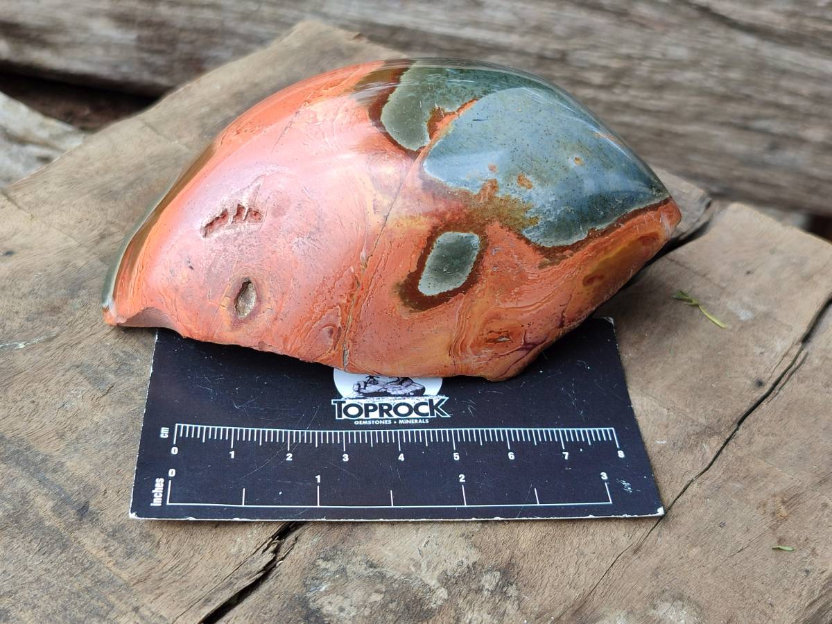 Polished On One Side Polychrome Jasper Nodules x 4 From NW Coast, Madagascar