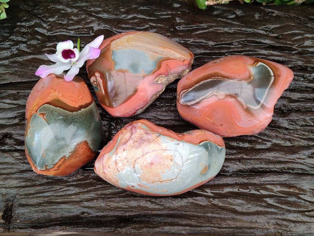 Polished On One Side Polychrome Jasper Nodules x 4 From NW Coast, Madagascar
