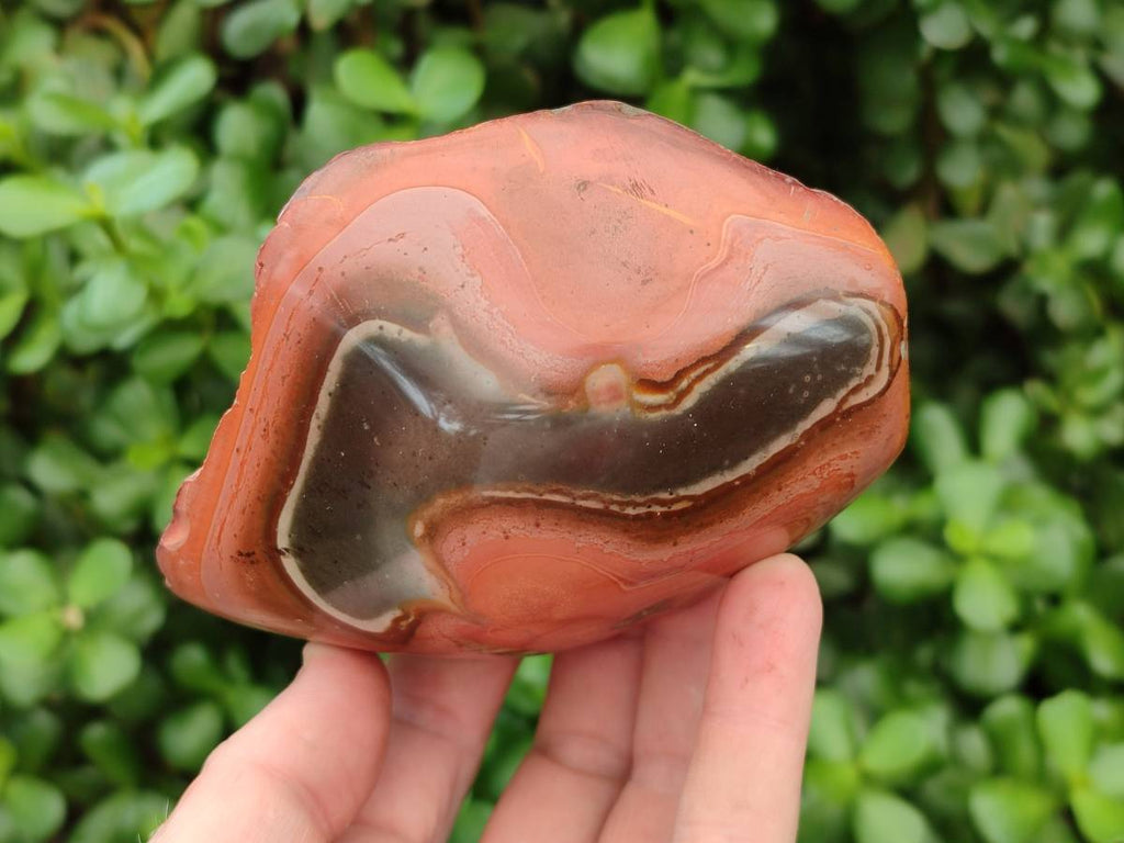 Polished On One Side Polychrome Jasper Nodules x 4 From NW Coast, Madagascar