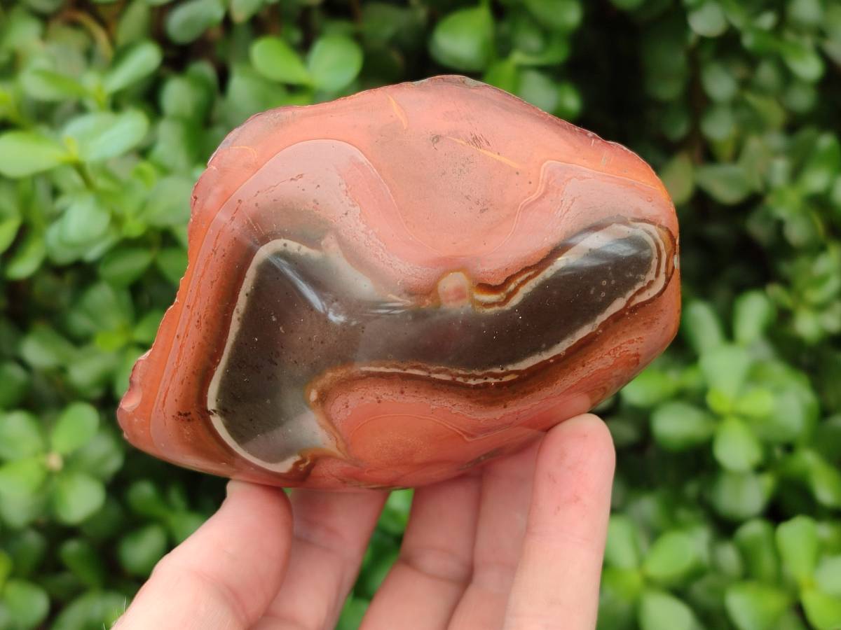 Polished On One Side Polychrome Jasper Nodules x 4 From NW Coast, Madagascar