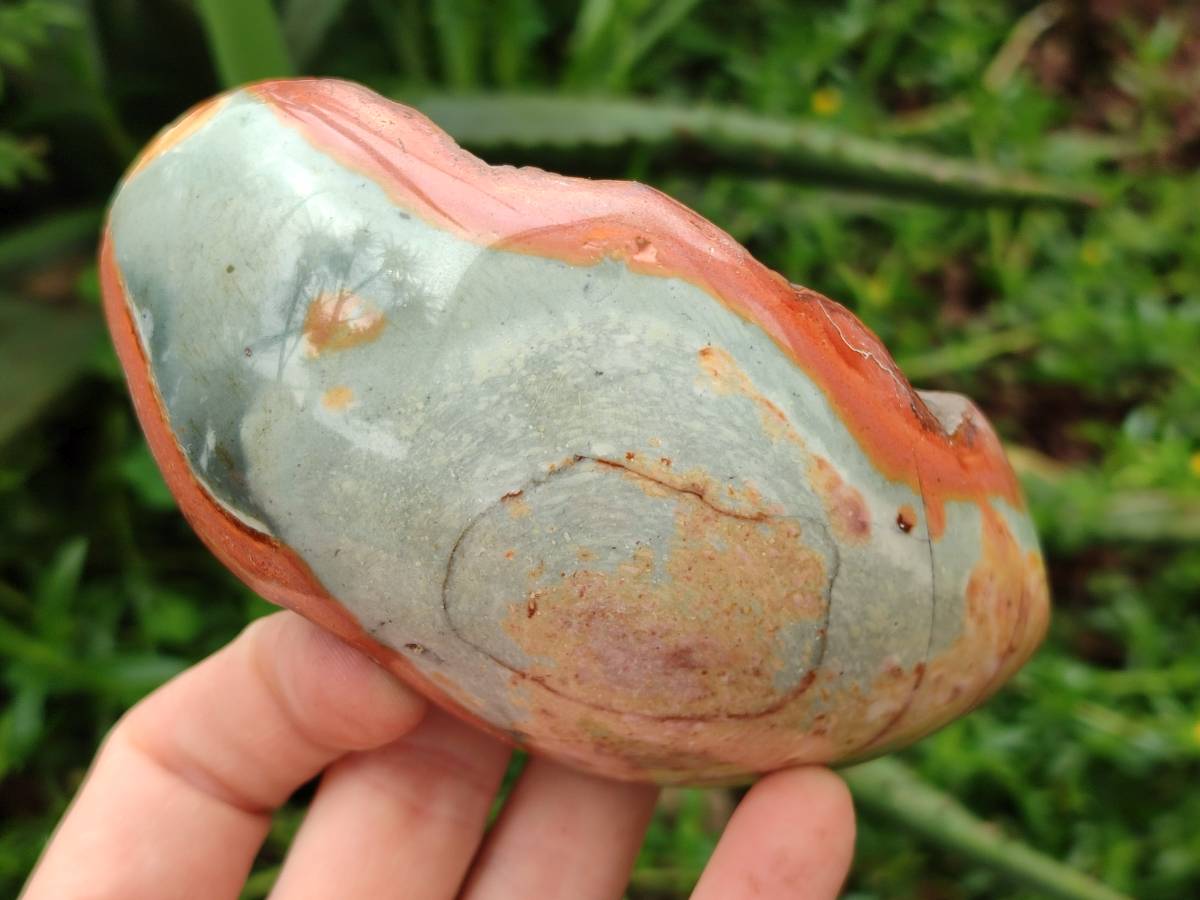 Polished On One Side Polychrome Jasper Nodules x 4 From NW Coast, Madagascar