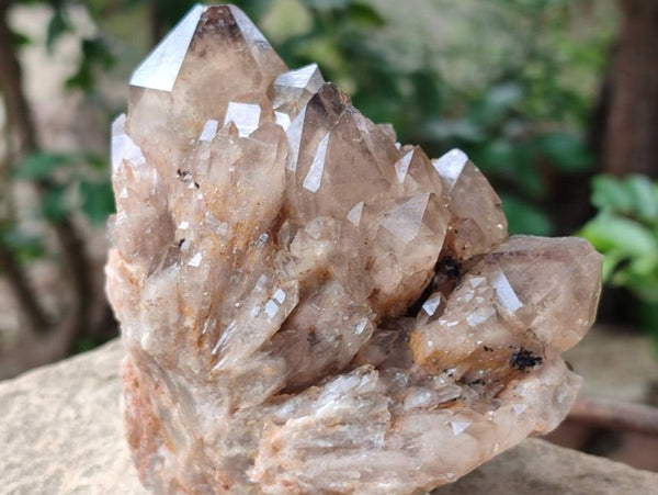 Natural Dark Smokey Phantom Quartz Clusters x 2 From Luena, Congo