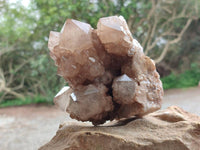 Natural Dark Smokey Phantom Quartz Clusters x 2 From Luena, Congo