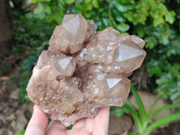 Natural Dark Smokey Phantom Quartz Clusters x 2 From Luena, Congo