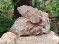 Natural Dark Smokey Phantom Quartz Clusters x 2 From Luena, Congo