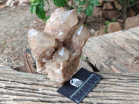 Natural Dark Smokey Phantom Quartz Clusters x 2 From Luena, Congo