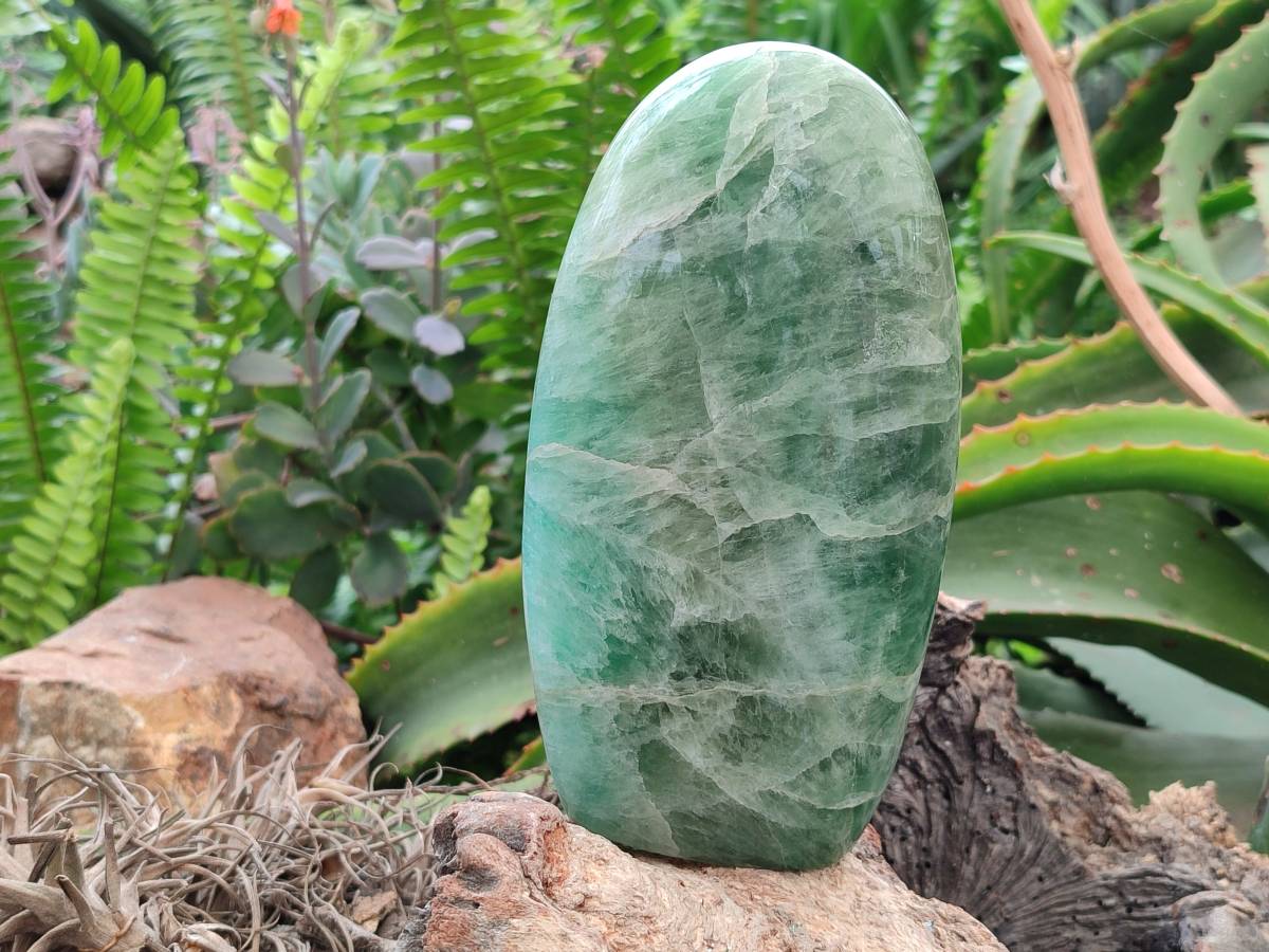Polished Green Fluorite Standing Free Form x 1 From Madagascar