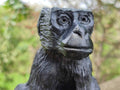 Hand Made Black Soapstone Baboon Carving x 1 From Zimbabwe