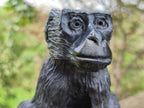Hand Made Black Soapstone Baboon Carving x 1 From Zimbabwe