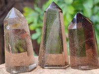 Polished Smokey Window Quartz Crystals x 12 From Madagascar