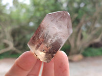 Polished Smokey Window Quartz Crystals x 12 From Madagascar