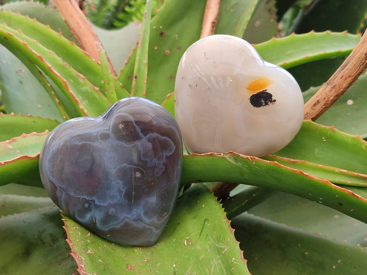 Polished Banded Agate Hearts x 6 From Madagascar