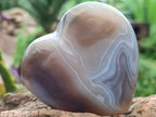 Polished Banded Agate Hearts x 6 From Madagascar