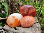 Polished Carnelian Agate Gemstone Galets x 24 From Madagascar